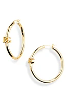 Dolce & Gabbana Creole DG Logo Hoop Earrings in Zoo00 Oro at Nordstrom