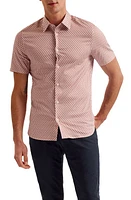 Ted Baker London Lacesho Geo Print Stretch Cotton Button-Up Shirt at Nordstrom,