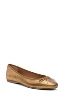 Birdies Hummingbird Ballet Flat Leather at Nordstrom,