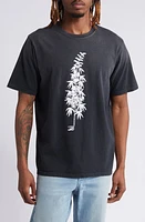 ONE OF THESE DAYS More Peace Freedom Cotton Graphic T-Shirt at Nordstrom,