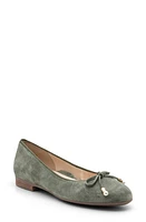 ara Scout Flat in Thyme Suede at Nordstrom, Size 6.5