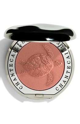 Chantecaille Philanthropy Cheek Shade Blush in Grace - Sea Turtle at Nordstrom