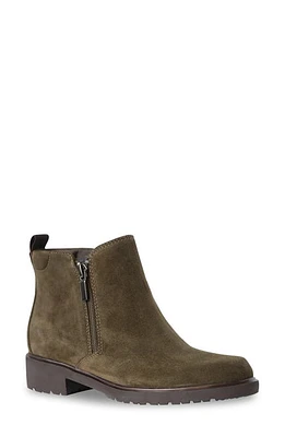 Munro Rourke Water Resistant Bootie Herb Suede at Nordstrom,