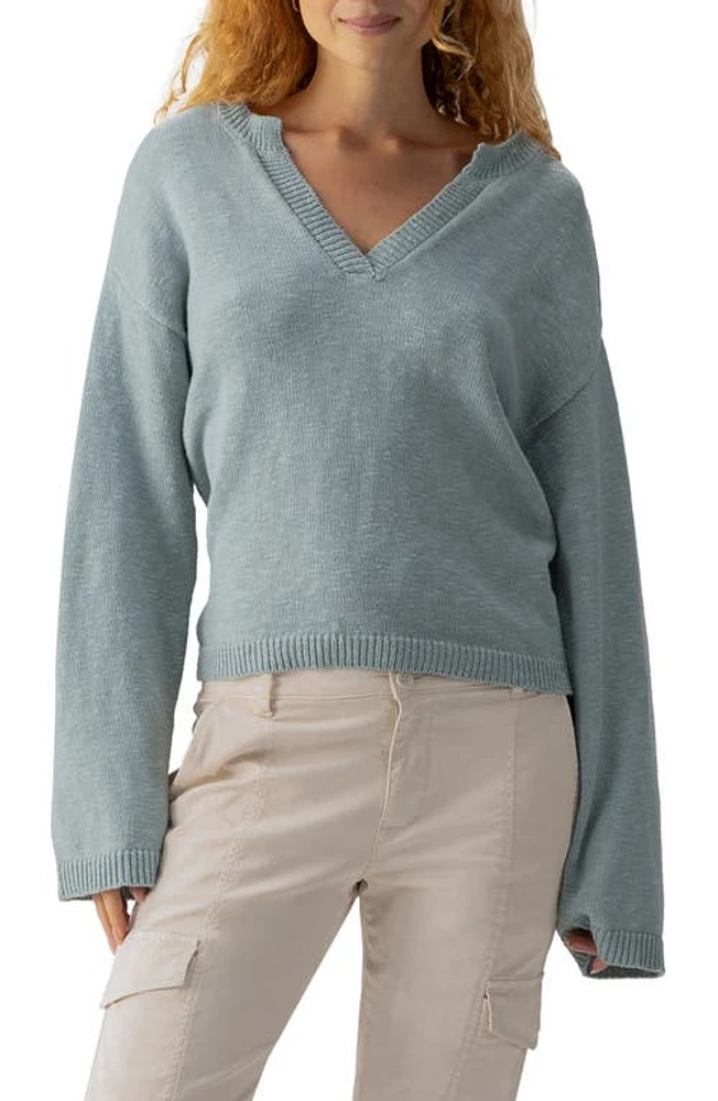 Sanctuary Chill Vibes Cotton V-Neck Sweater at Nordstrom,