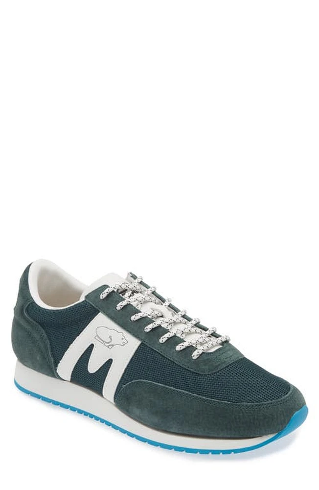 Karhu Gender Inclusive Albatross 82 Sneaker Dark Forest/Bright White at Nordstrom, Women's