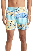 Boardies Mint Swim Trunks at Nordstrom,