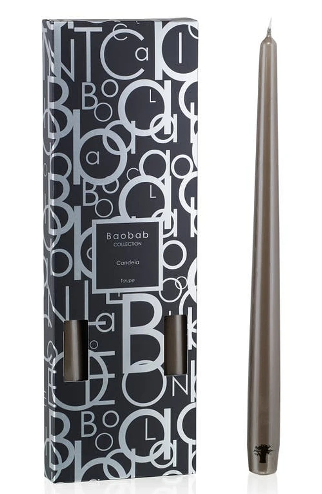 Baobab Collection Candela 4-Pack Candlestick in Taupe at Nordstrom