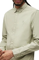 AllSaints Hawthorne Slim Fit Button-Up Shirt in Bleach Sage Green at Nordstrom, Size Small