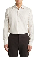 Canali Regular Fit Solid Herringbone Dress Shirt Beige at Nordstrom,