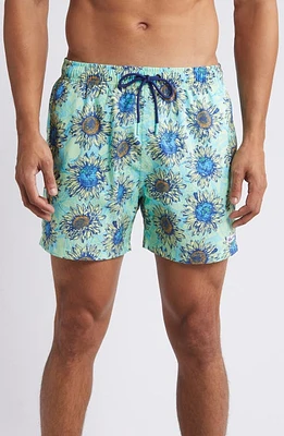 Boardies Helianthus Swim Trunks Teal at Nordstrom,