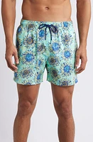 Boardies Helianthus Swim Trunks Teal at Nordstrom,