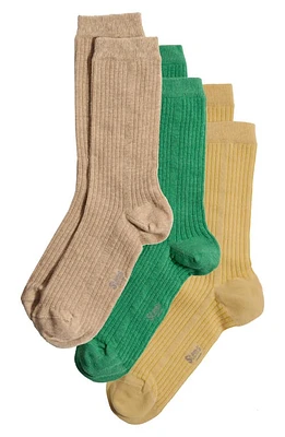 Stems Assorted 3-Pack Rib Socks in Fern/Ochre/Gris at Nordstrom