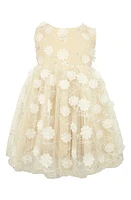 Popatu Kids' 3D Floral Appliqué Tulle Dress at Nordstrom