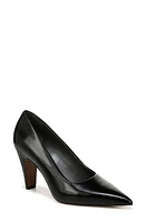 Sarto by Franco Sage Pointed Toe Pump at Nordstrom,