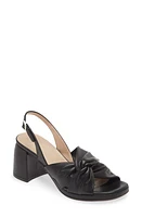 Wonders Knot Detail Block Heel Sandal at Nordstrom,