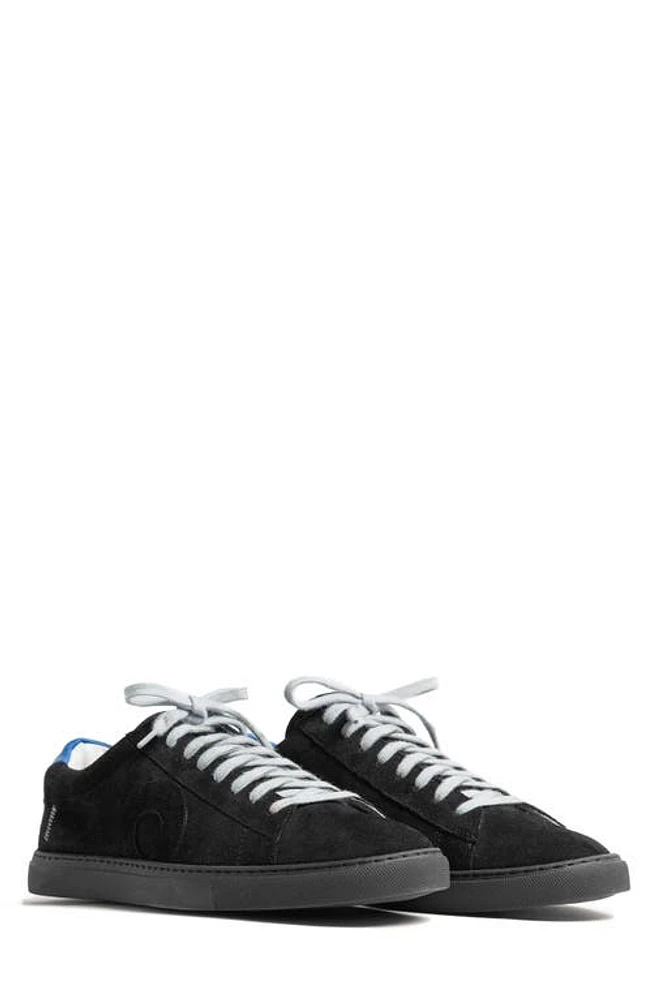 OLIVER CABELL Low 1 Sneaker Core Black at Nordstrom,