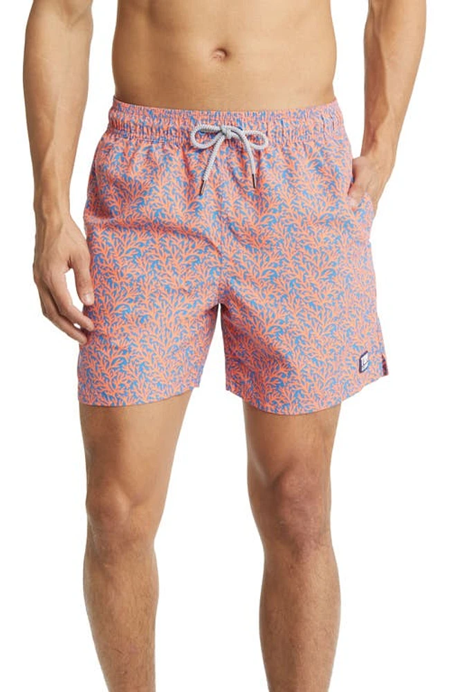 Tom & Teddy Coral Print Swim Trunks Mid Blue Orange at Nordstrom,