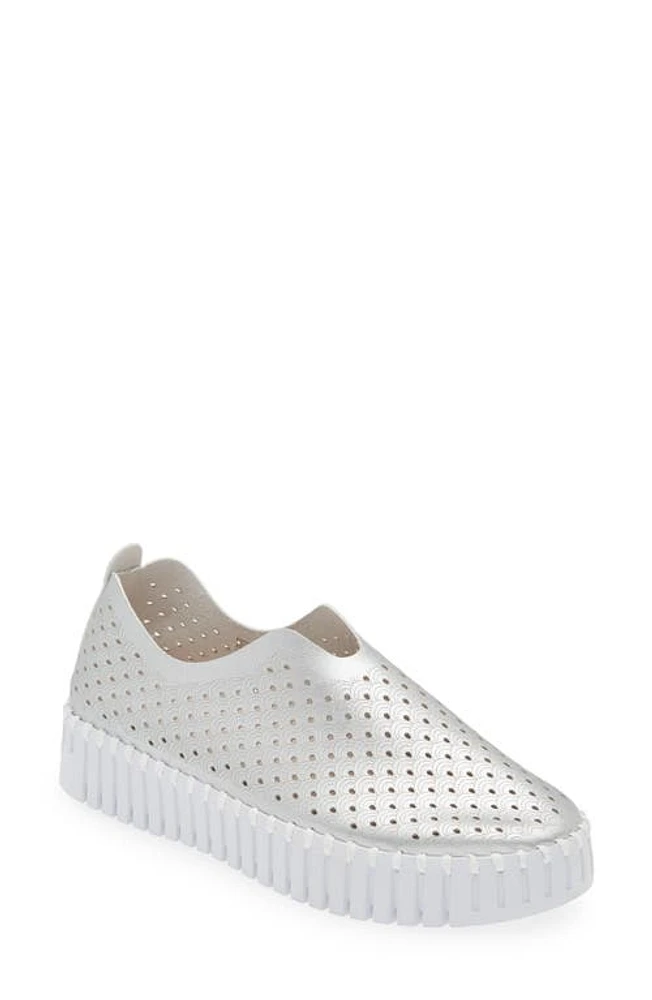 Ilse Jacobsen Tulip Sneaker Silver at Nordstrom,