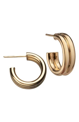 Jennifer Zeuner Ingrid Hoop Earrings in Yellow Gold Plated at Nordstrom