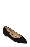 BERNARDO FOOTWEAR Fritz Pointed Toe Flat at Nordstrom,