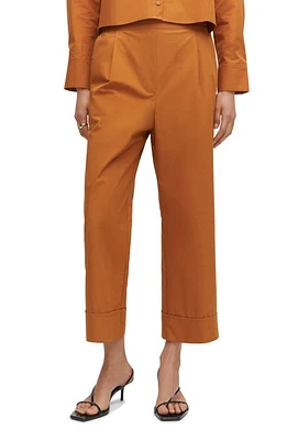 MANGO Pleat Front Ankle Pants in Brown at Nordstrom, Size X-Small