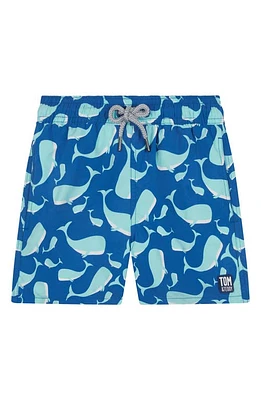 Tom & Teddy Kids' Whale Swim Trunks Navy Aqua at Nordstrom,