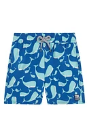 Tom & Teddy Kids' Whale Swim Trunks Navy Aqua at Nordstrom,