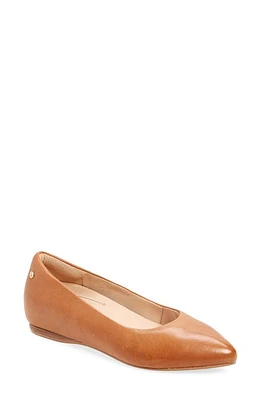 FRANKIE4 Poppy Pointed Toe Flat Tan at Nordstrom,