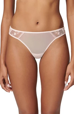 Simone Perele Marthe Embroidered Mesh Tanga Petal Powder at Nordstrom,