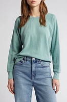 Treasure & Bond Shrunken Terry Sweatshirt at Nordstrom,