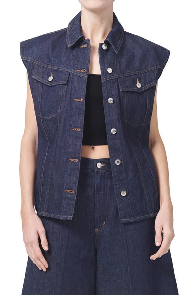 AGOLDE Evan Oversize Sleeveless Organic Cotton Denim Button-Up Shirt Pure at Nordstrom,