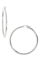 Roberto Coin Hoop Earrings in Wg at Nordstrom