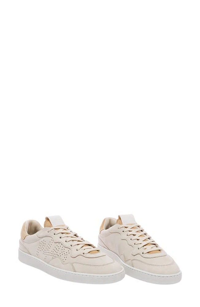 P448 Yam Skate Sneaker Cream-Tan at Nordstrom,