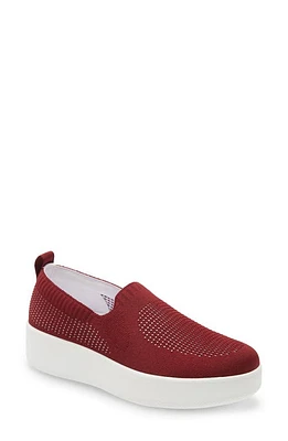 TRAQ by Alegria Qaravan Platform Slip-On Sneaker Fabric at Nordstrom,