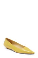 Jeffrey Campbell Pistil Pointed Toe Flat at Nordstrom,