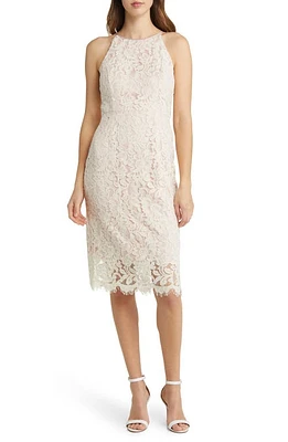 Eliza J Lace Sheath Dress Ivory/Beige at Nordstrom,