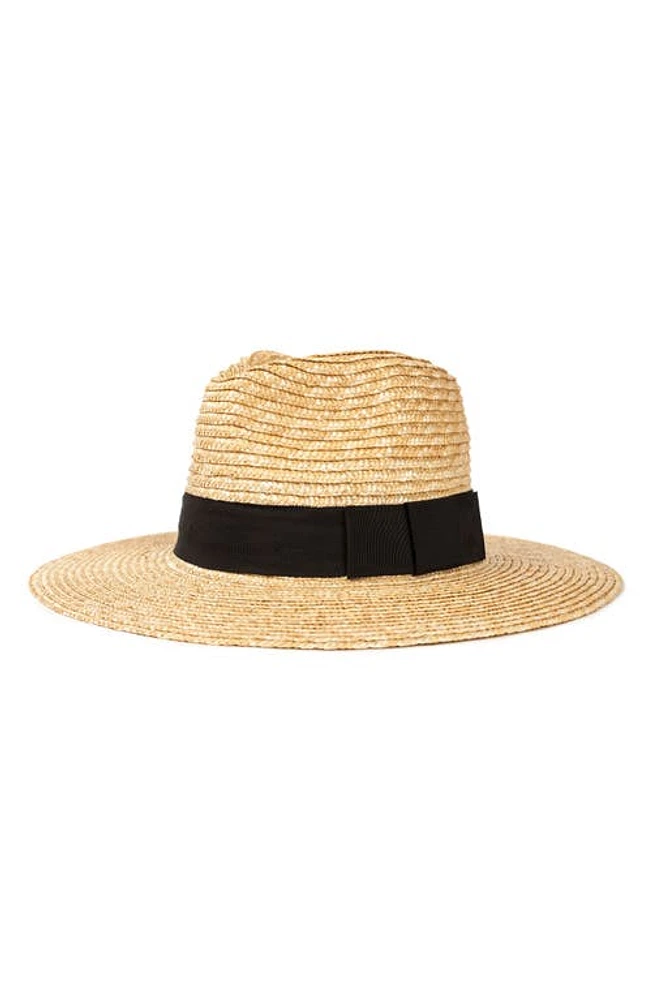 Brixton Joanna Straw Hat Honey/black at Nordstrom,