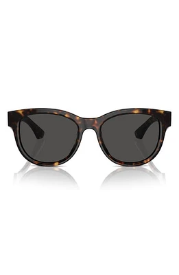 burberry 54mm Round Sunglasses in Dark Havana at Nordstrom