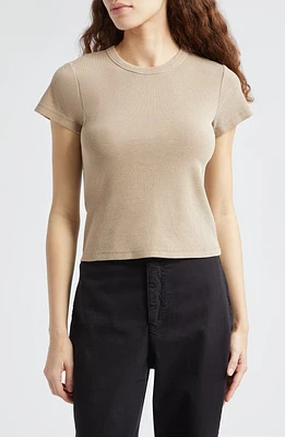 Marine Layer Lexi Sun-In Rib Crewneck T-Shirt Mocha at Nordstrom,