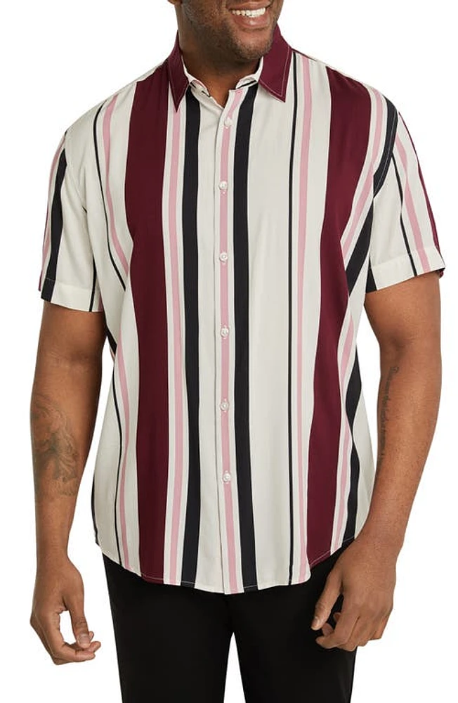 Johnny Bigg Paloma Stripe Short Sleeve Button-Up Shirt Pink at Nordstrom,