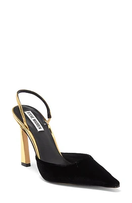 Steve Madden Drew Slingback Pointed Toe Pump at Nordstrom,