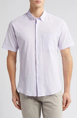 Scott Barber Stripe Short Sleeve Cotton Seersucker Button-Down Shirt Grapeade at Nordstrom,