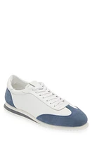 G Brown Dash Low Top Sneaker Blue/White at Nordstrom,