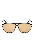 TOM FORD Bruce 61mm Navigator Sunglasses in Shiny Tortoise Black /Smoke at Nordstrom