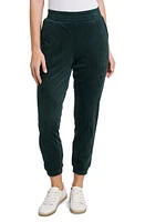 1.STATE Velour Pants at Nordstrom,