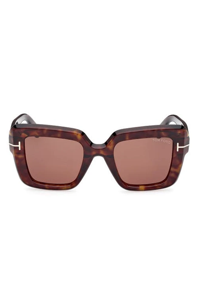 TOM FORD Esme 50mm Square Sunglasses in Shiny Classic Havana /Brown at Nordstrom