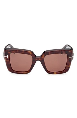 TOM FORD Esme 50mm Square Sunglasses in Shiny Classic Havana /Brown at Nordstrom