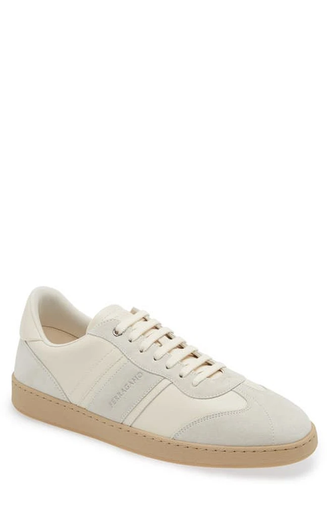 FERRAGAMO Achille Low Top Sneaker Mascarpone at Nordstrom,