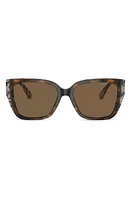 Michael Kors Acadia 55mm Rectangular Sunglasses in Brown at Nordstrom