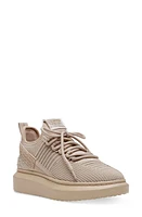 Steve Madden Glorify Platform Knit Sneaker at Nordstrom,